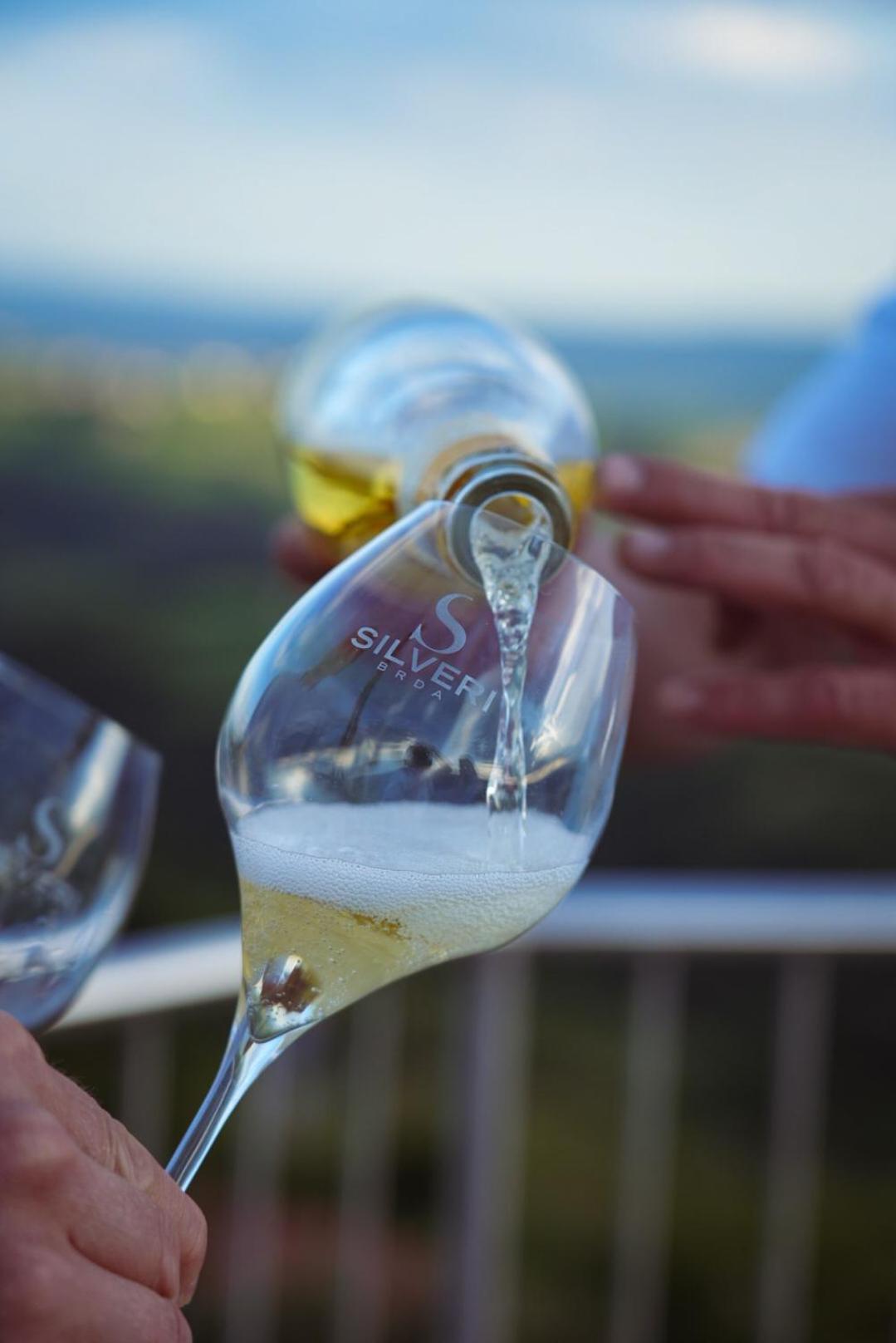 Pikol Lake Village Wine Estate Nova Gorica Exterior photo